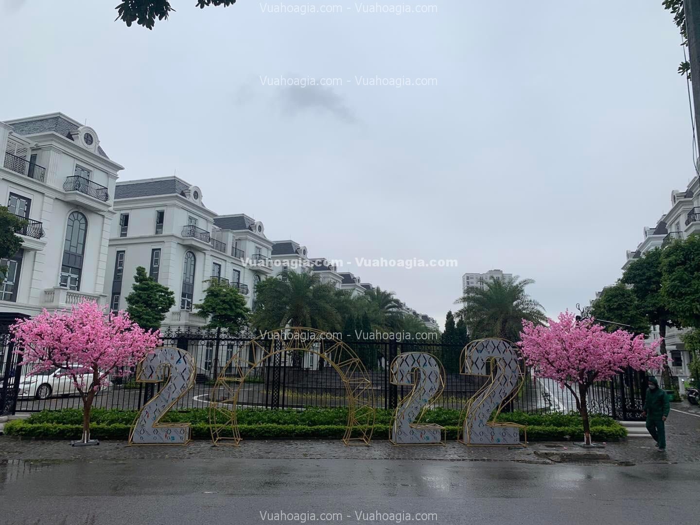ban-cay-hoa-anh-dao-gia-ha-noi-1