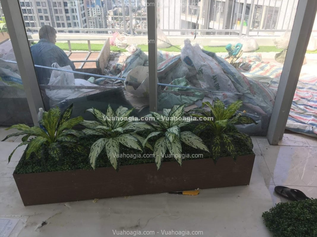 bục cây giả cần thơ