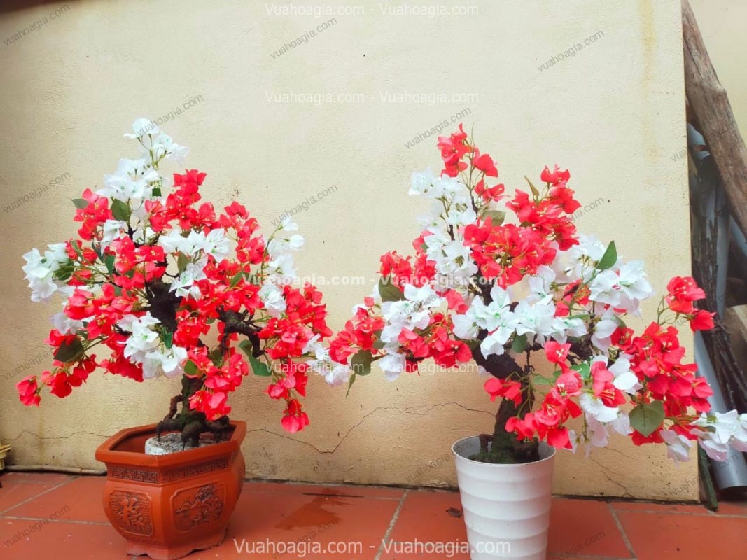 cây hoa giấy giả bonsai