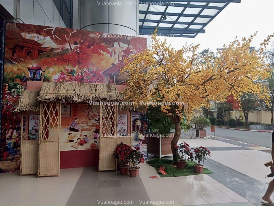 cây hoa mai vàng giả Hà Nội cây hoa mai vàng giả Hà Nội