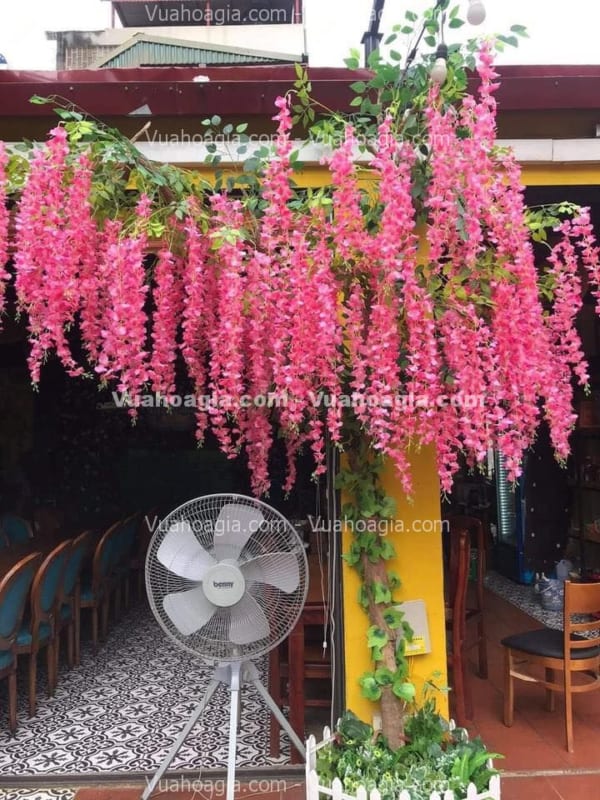 cây hoa tử đằng giả tại hà nội