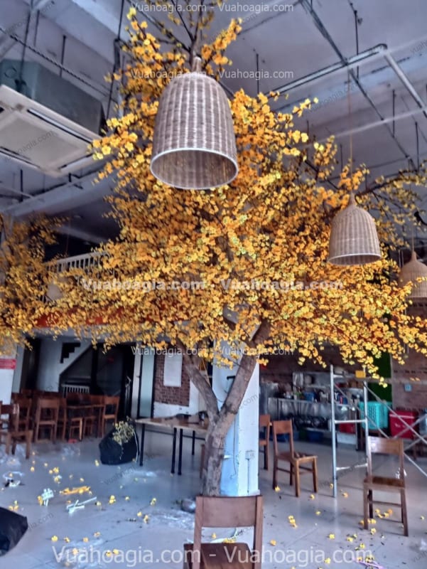cây mai vàng giả trang trí quán