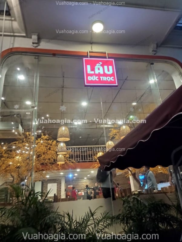 cây mai vàng giả trang trí quán