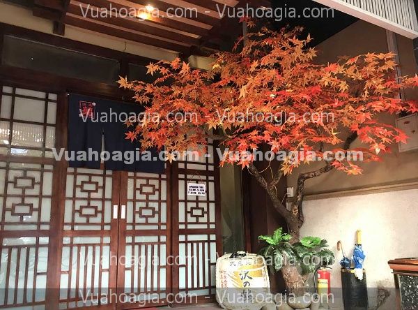 Cây phong giả quán trà sữa