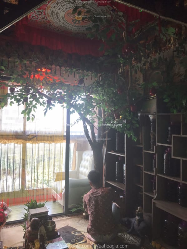 cây táo giả hà nội