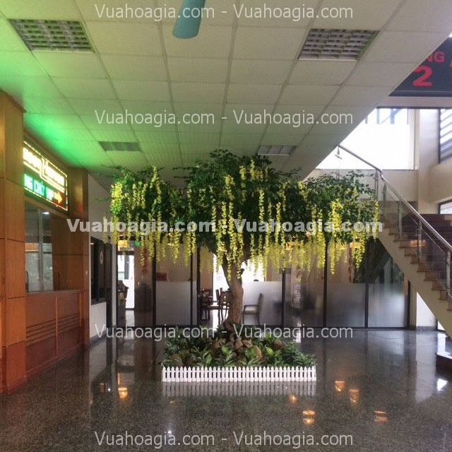 cây tử đằng hoa vàng giả cây tử đằng hoa vàng giả