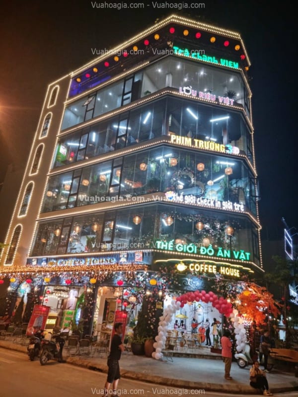 hồng leo giả hà nội