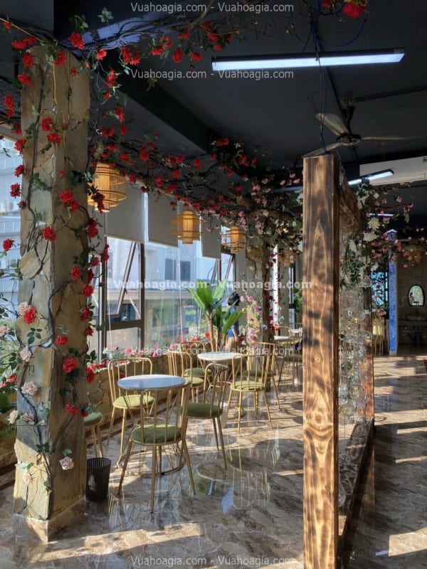 hồng leo giả hà nội