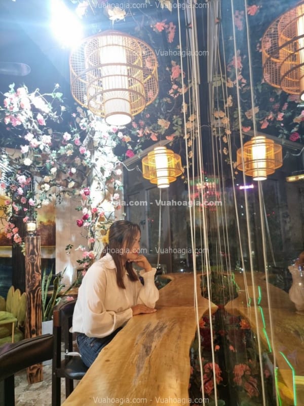 hồng leo giả hà nội
