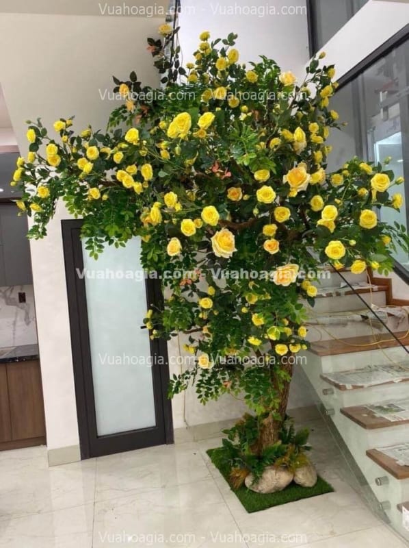cây hoa hồng giả hoa vàng cây hoa hồng giả hoa vàng