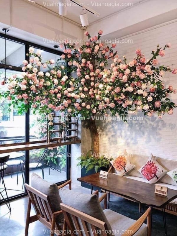 cây hoa hồng giả tại tây ninh