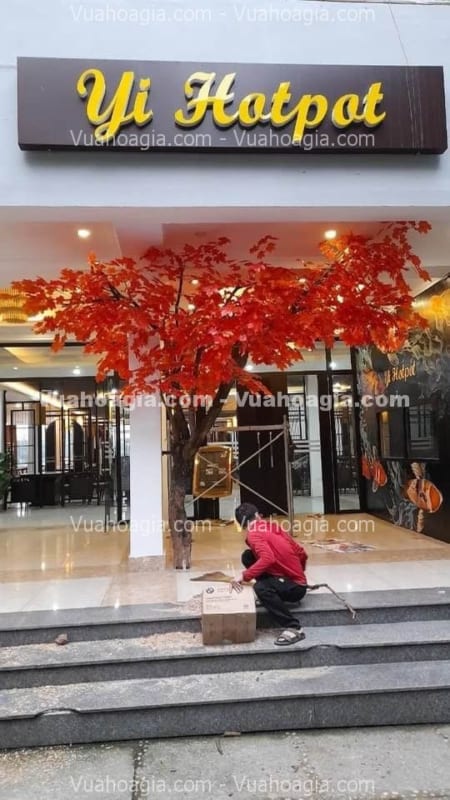 cây phong giả trang trí cửa quán