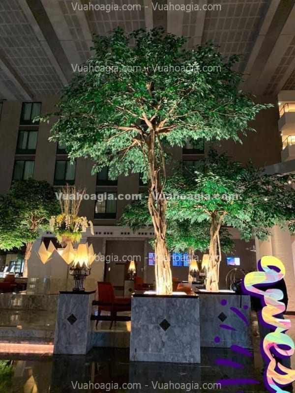 cho thuê cây cổ thụ giả đẹp cho thuê cây cổ thụ giả đẹp