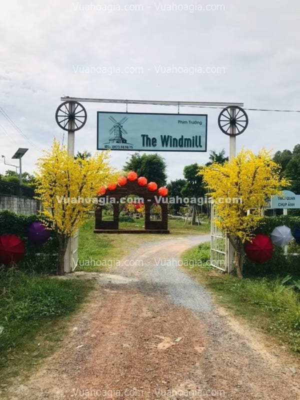 cho thuê cây mai vàng giả hcm
