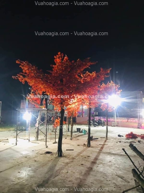 cho thuê cây phong giả sự kiện