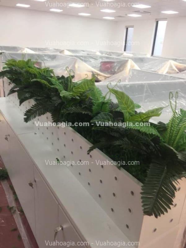 hộp cây giả giá rẻ