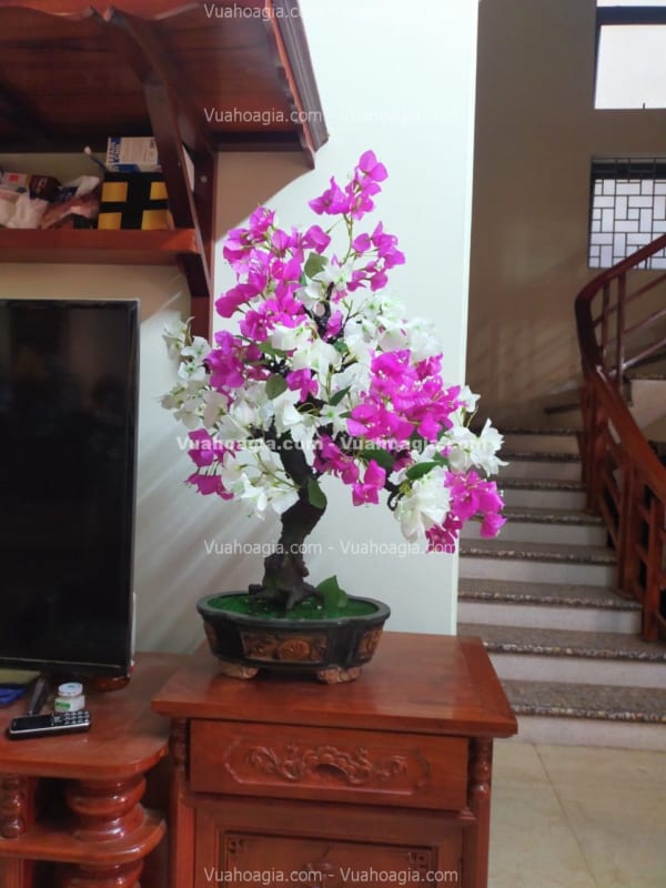 cây bonsai hoa giấy giả