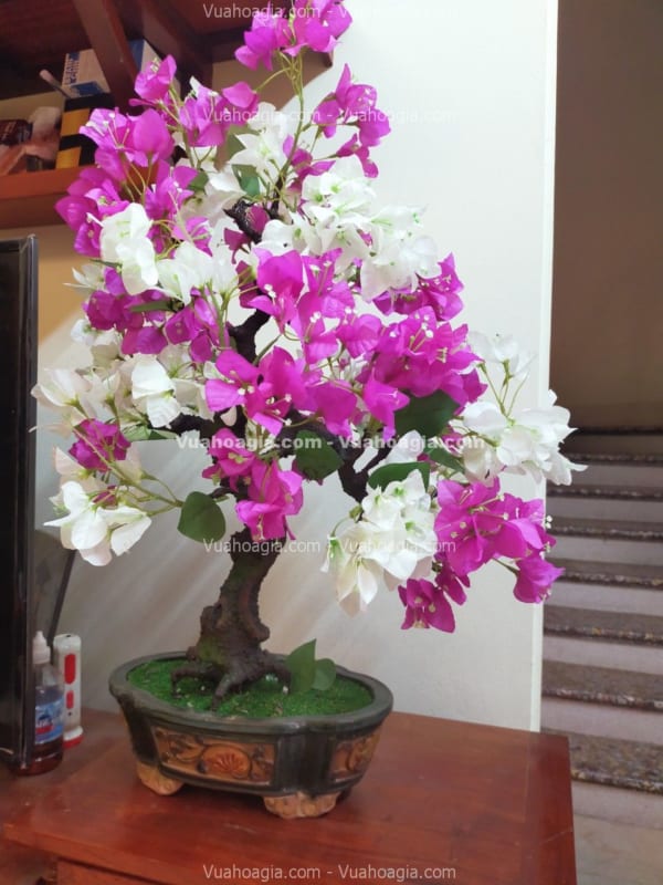 cây bonsai hoa giấy giả