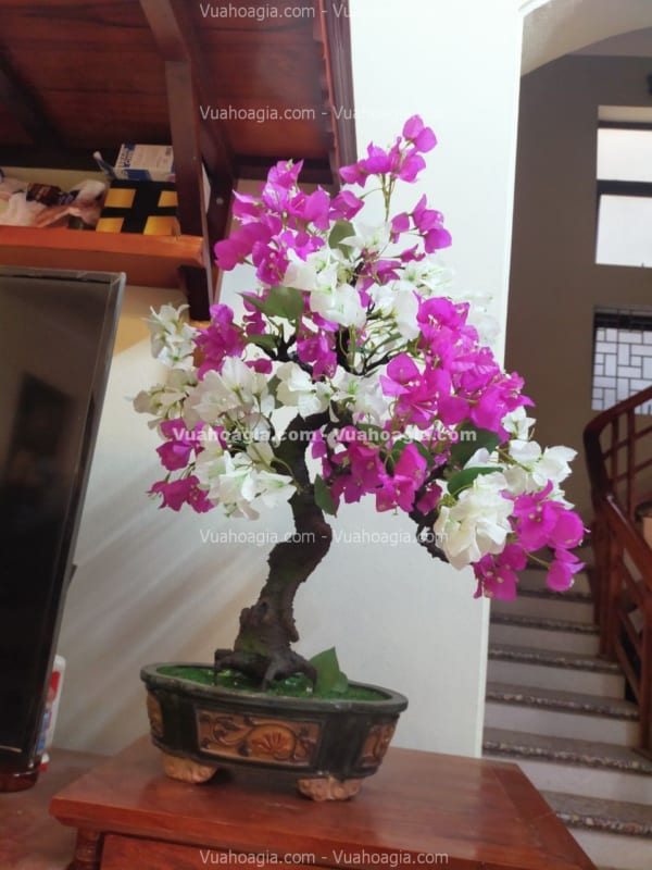 tường cây giả quận 3 hcm