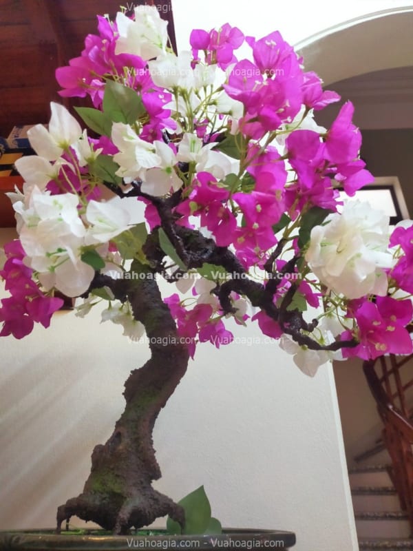 cây bonsai hoa giấy giả
