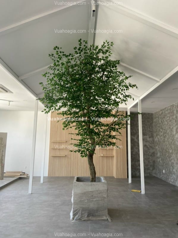 cây cổ thụ giả cao 4m cây cổ thụ giả cao 4m