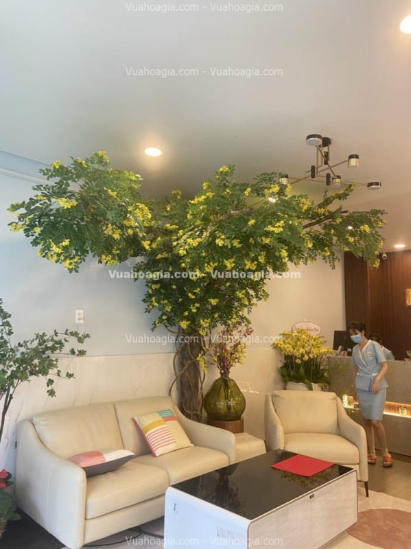 cây điệp giả hcm