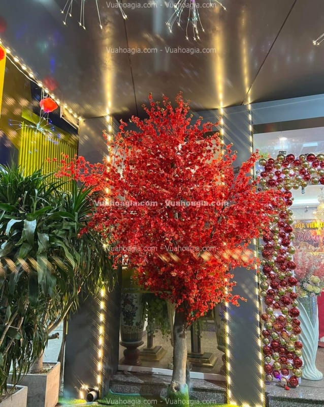 cây hoa anh đào đỏ giả cây hoa anh đào đỏ giả