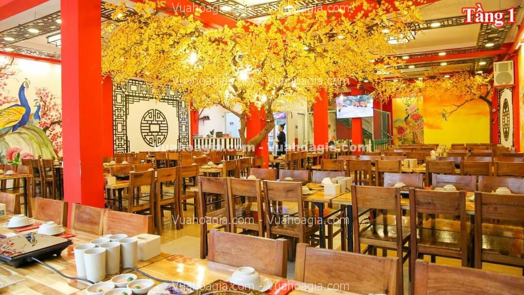 cây hoa mai vàng giả tại hà nội cây hoa mai vàng giả tại hà nội