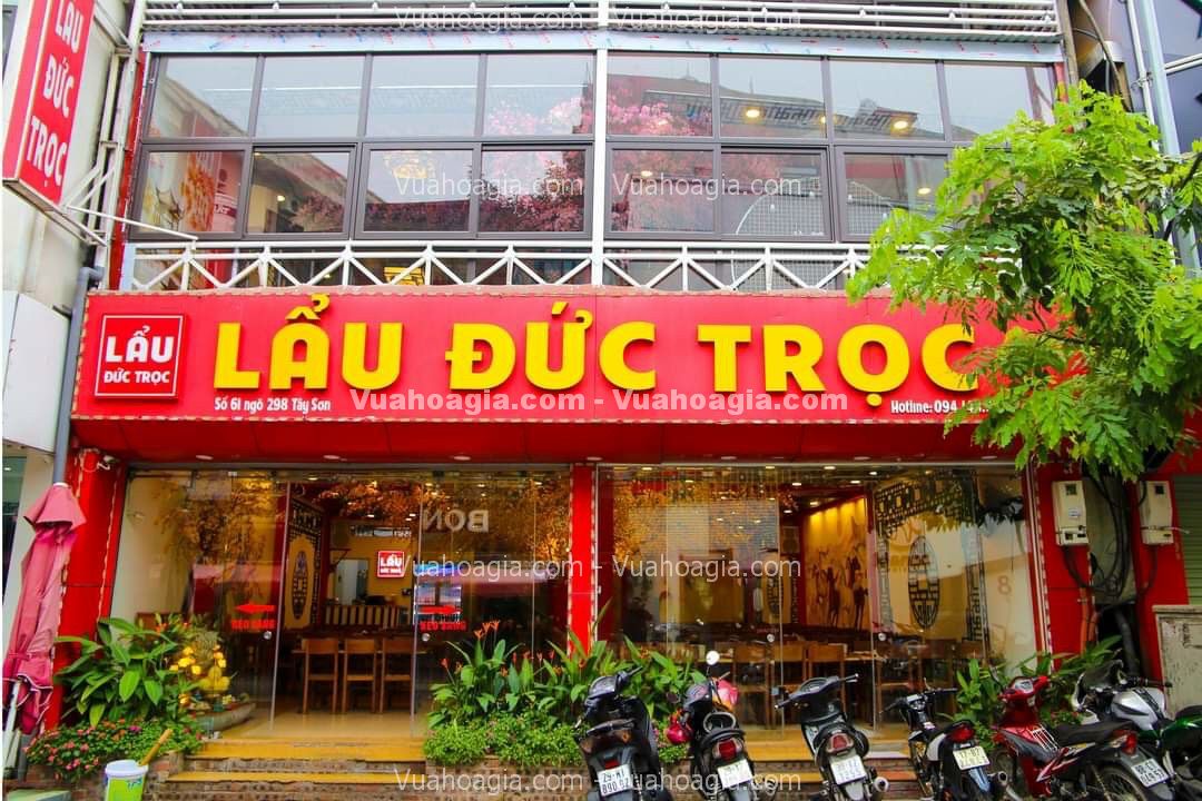 cây hoa mai vàng giả tại hà nội cây hoa mai vàng giả tại hà nội