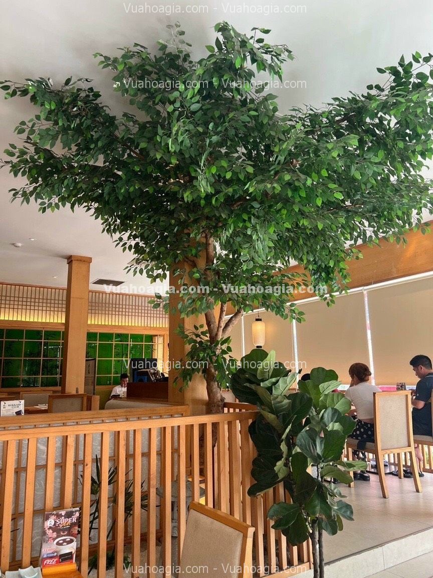 cay-la-xanh-gia-decor-quan