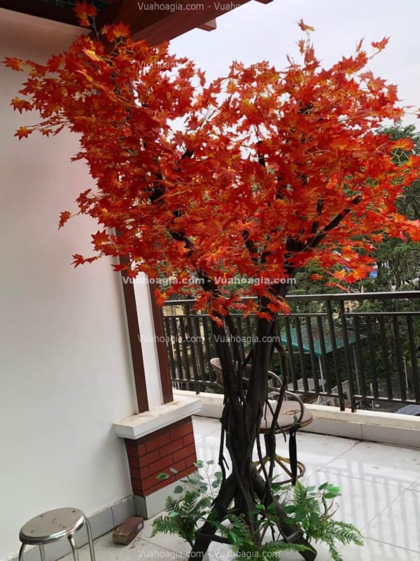 cây phong giả trang trí nhà