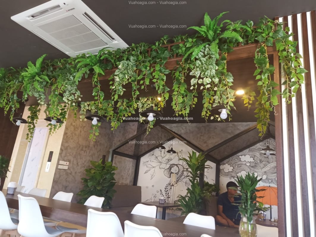 cây rủ giả giá rẻ hcm