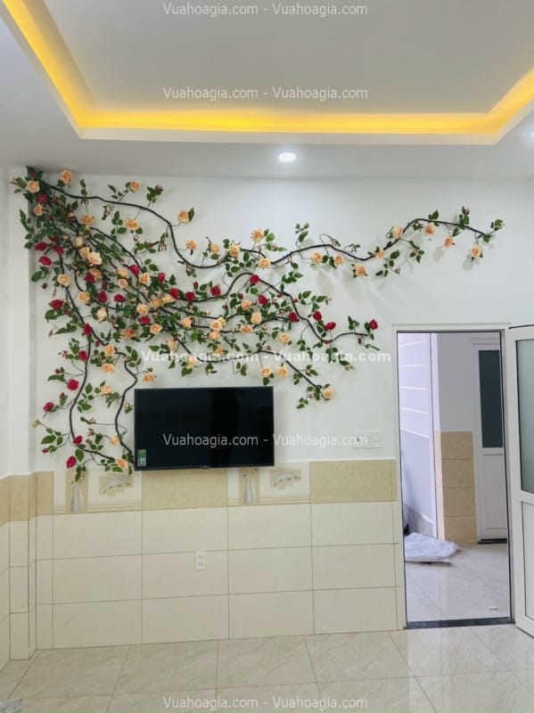mẫu cây hoa hồng nha trang