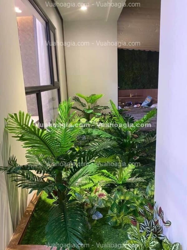 tiểu cảnh cây đẹp giá rẻ