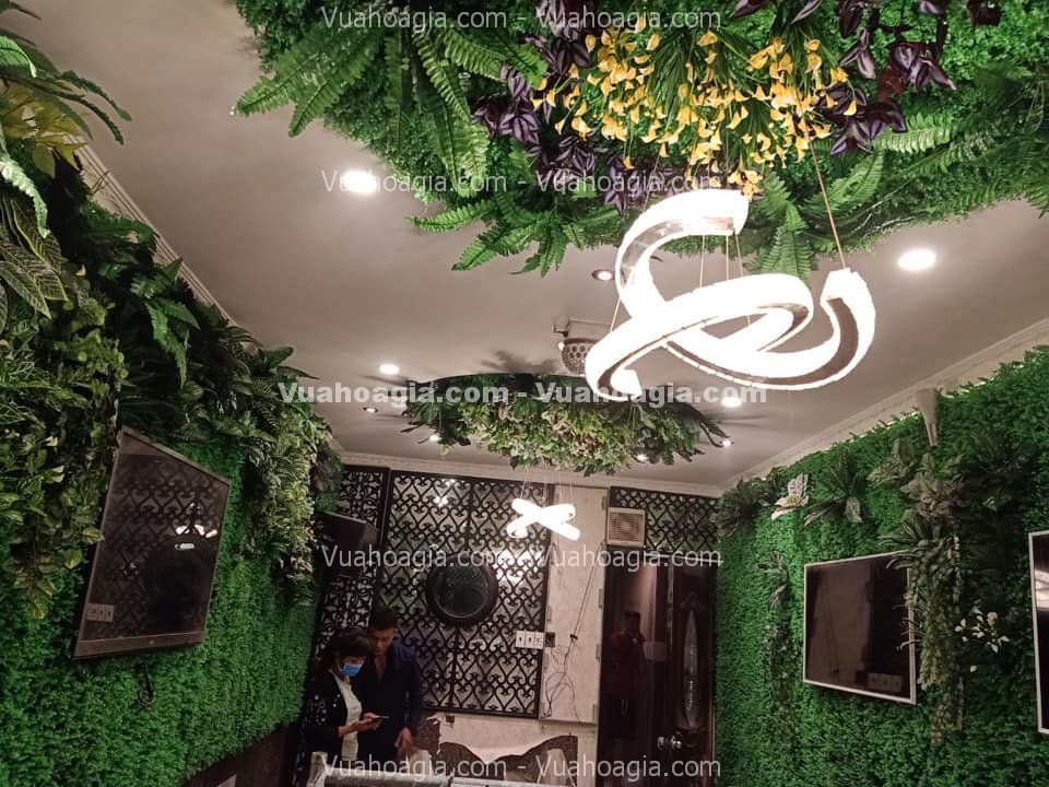 tường cây nhựa nha trang tường cây nhựa nha trang